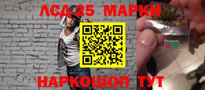 индика Можга