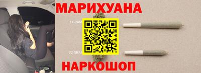 индика Можга