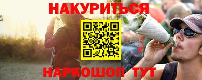 индика Можга