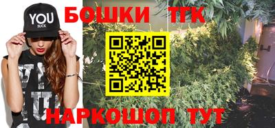 индика Можга
