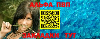 индика Можга