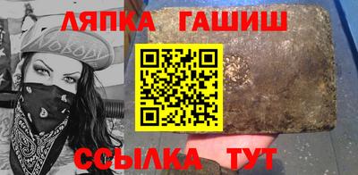 индика Можга